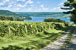 The Crooked Lake<br>2018